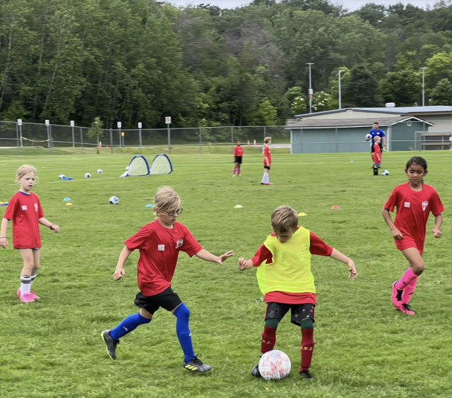 https://bloomingtonunited.org/wp-content/uploads/2026/06/Screenshot-2026-06-21-at-3.24.44-PM-640x564.png